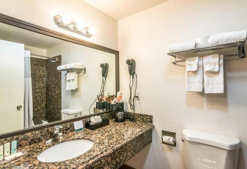 غرفة قياسية سرير كينج, Quality Inn & Suites Near Downtown Bakersfield
