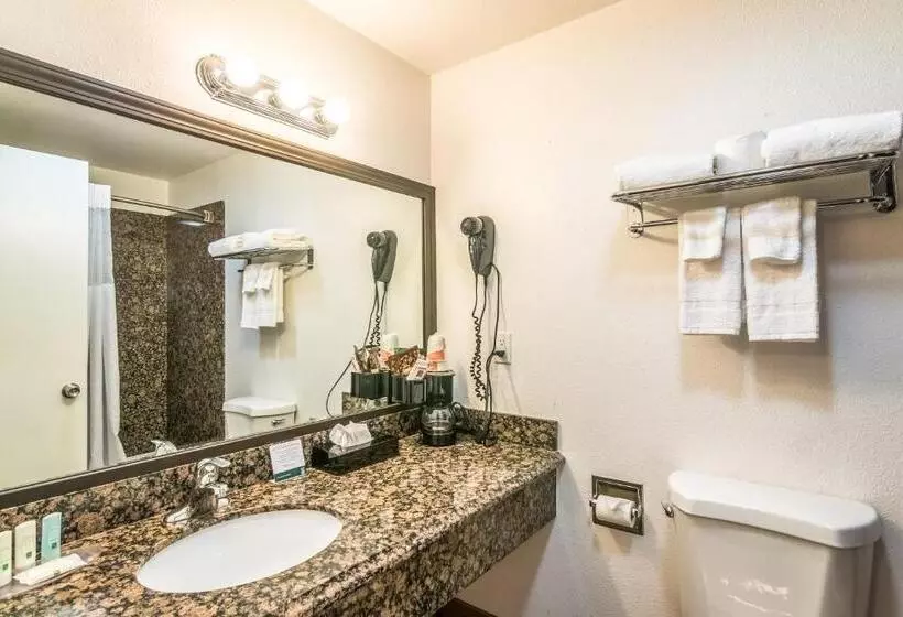 Standard-huone King-vuode, Quality Inn & Suites Near Downtown Bakersfield