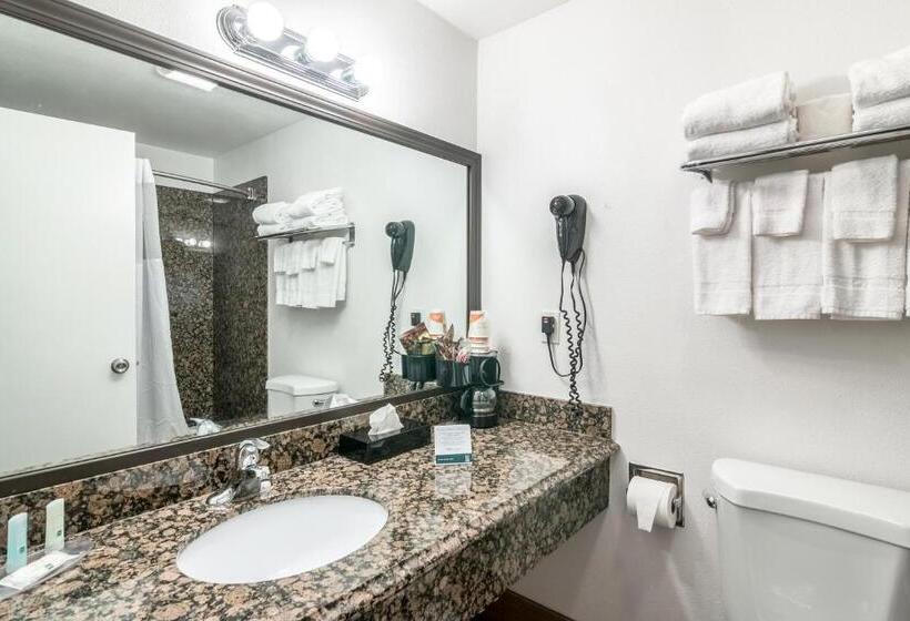 غرفة قياسية سرير كينج, Quality Inn & Suites Near Downtown Bakersfield