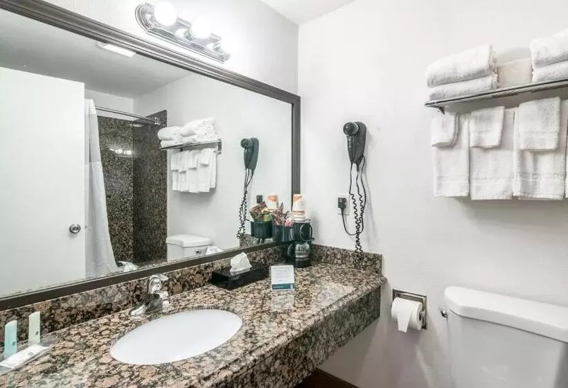 Standard-huone King-vuode, Quality Inn & Suites Near Downtown Bakersfield
