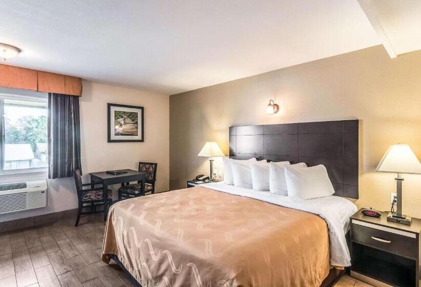 غرفة قياسية سرير كينج, Quality Inn & Suites Near Downtown Bakersfield