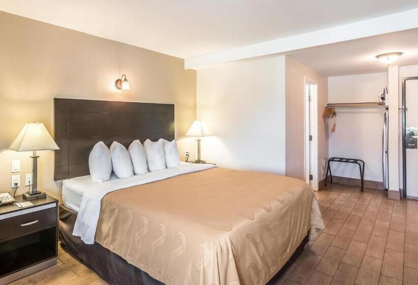 غرفة قياسية سرير كينج, Quality Inn & Suites Near Downtown Bakersfield