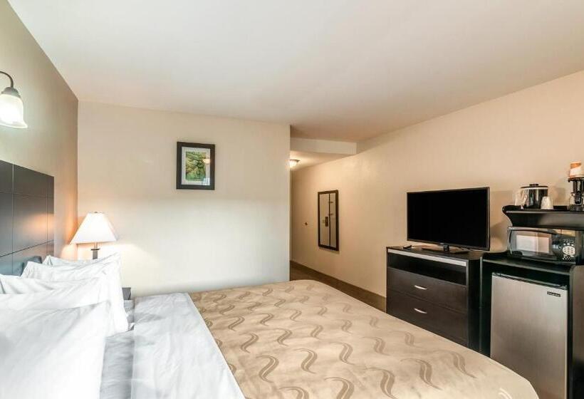 غرفة قياسية سرير كينج, Quality Inn & Suites Near Downtown Bakersfield