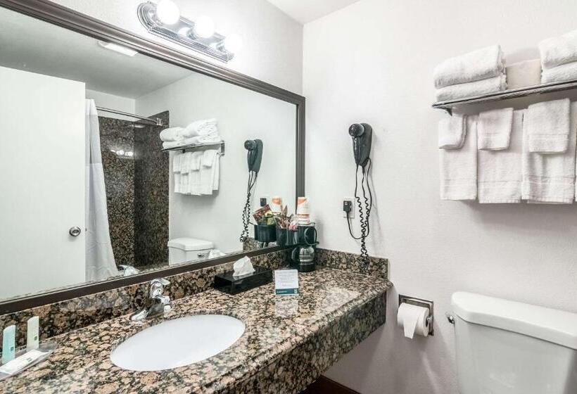 غرفه قياسيه سريرين مزدوجين, Quality Inn & Suites Near Downtown Bakersfield