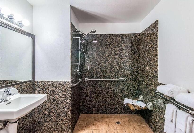 غرفة قياسية سرير كينج لذوى الإحتياجات الخاصة, Quality Inn & Suites Near Downtown Bakersfield