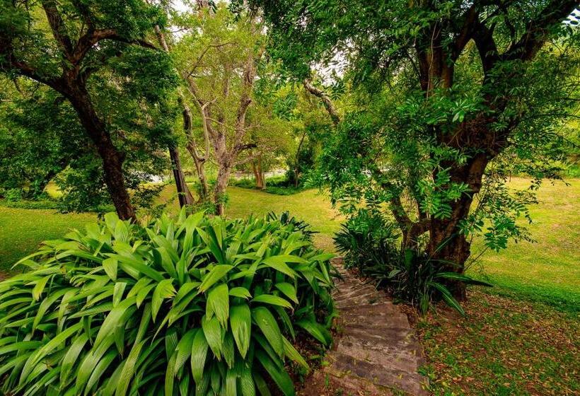 شاليه غرفة نوم واحدة, Sanbonani Resort Hotel And Spa