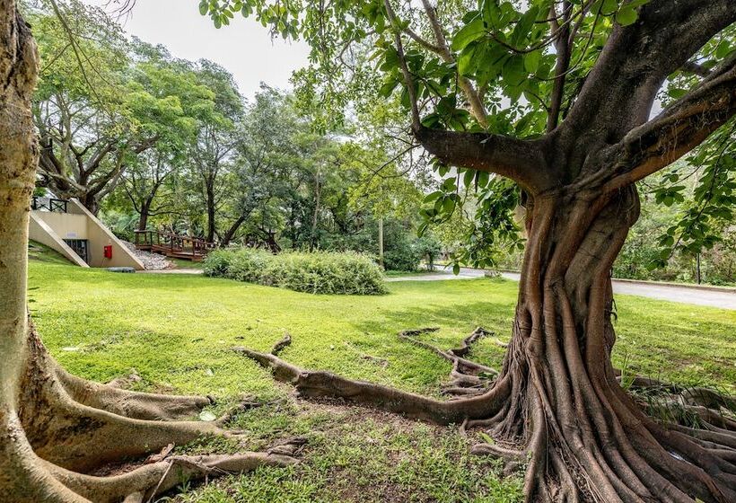 غرفة قياسية, Sanbonani Resort Hotel And Spa