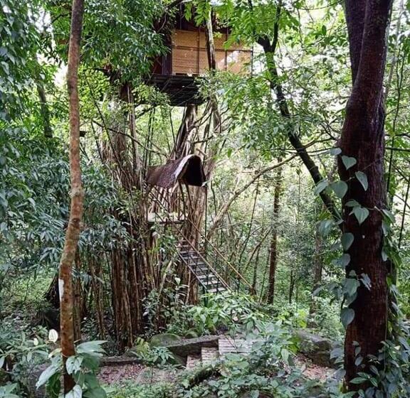 Дом 1 Спальня, Vythiri Resort