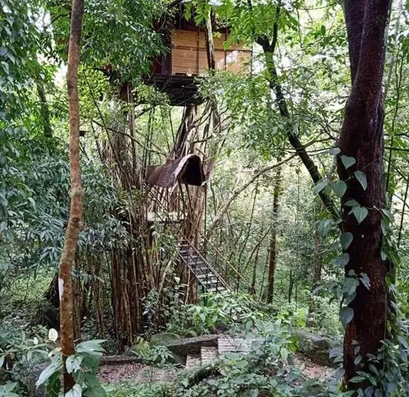 １ベッドルームハウス, Vythiri Resort