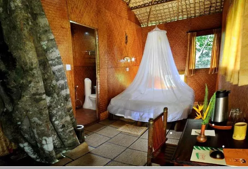 １ベッドルームハウス, Vythiri Resort