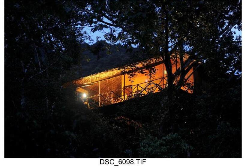 Дом 1 Спальня, Vythiri Resort