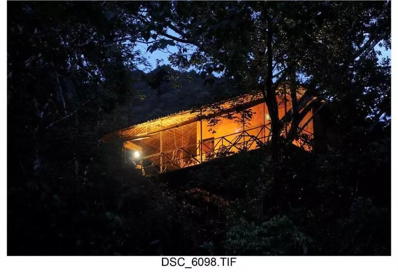 １ベッドルームハウス, Vythiri Resort