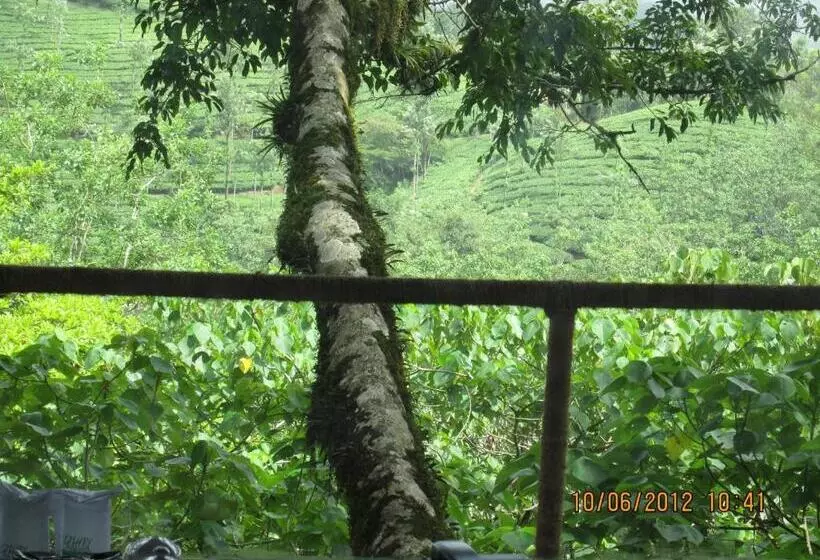 １ベッドルームハウス, Vythiri Resort