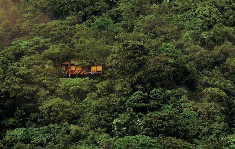 Дом 1 Спальня, Vythiri Resort