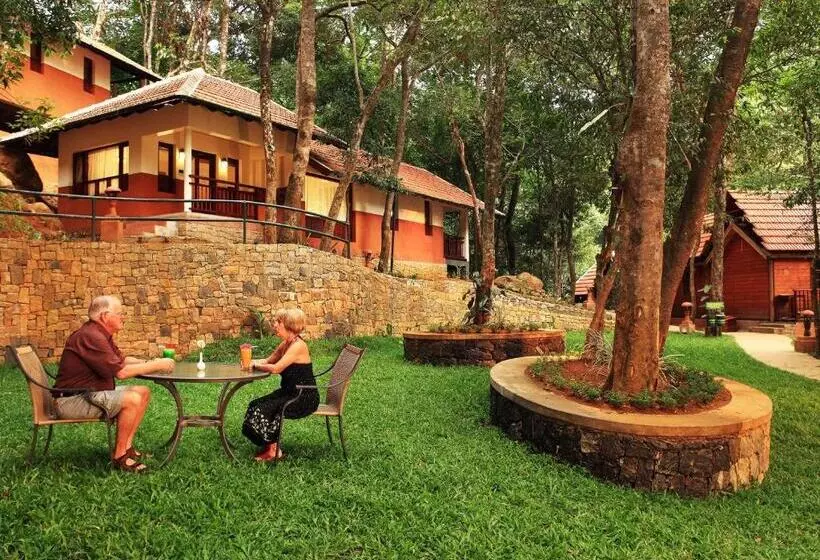 スタンダードルーム, Vythiri Resort