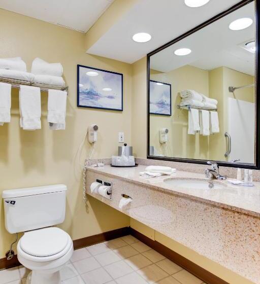 اتاق استاندارد با تخت بزرگ, Bemidji