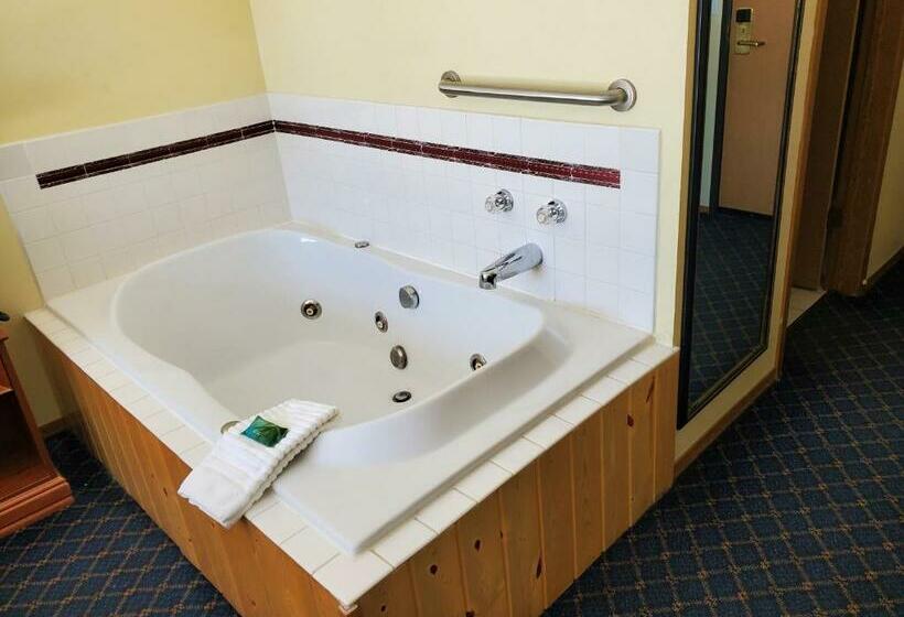 اتاق استاندارد با تخت بزرگ, Bemidji