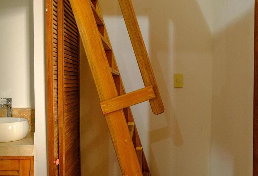 Номер Стандарт, Casa Rosa   Alma Hotels