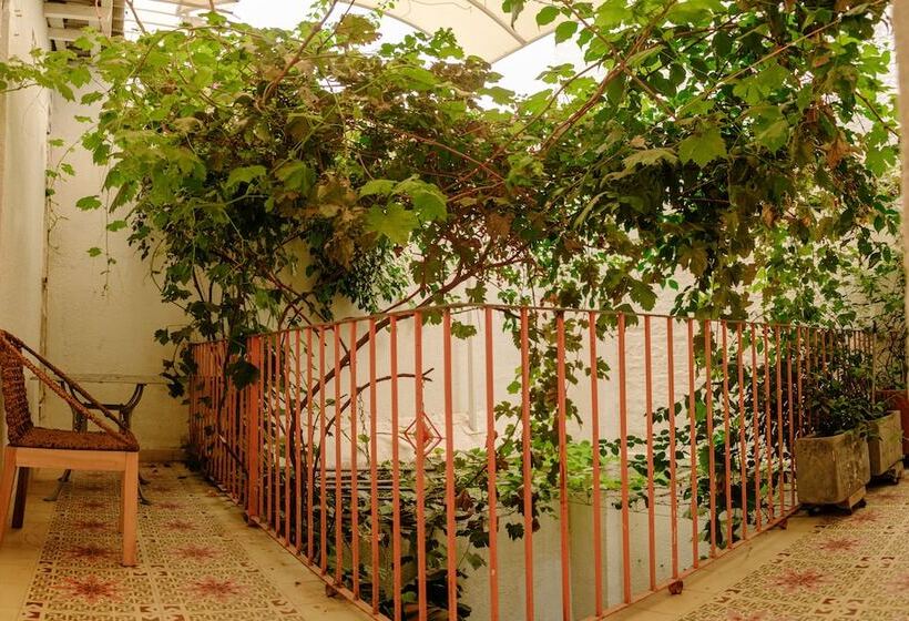 Номер Superior, Casa Rosa   Alma Hotels