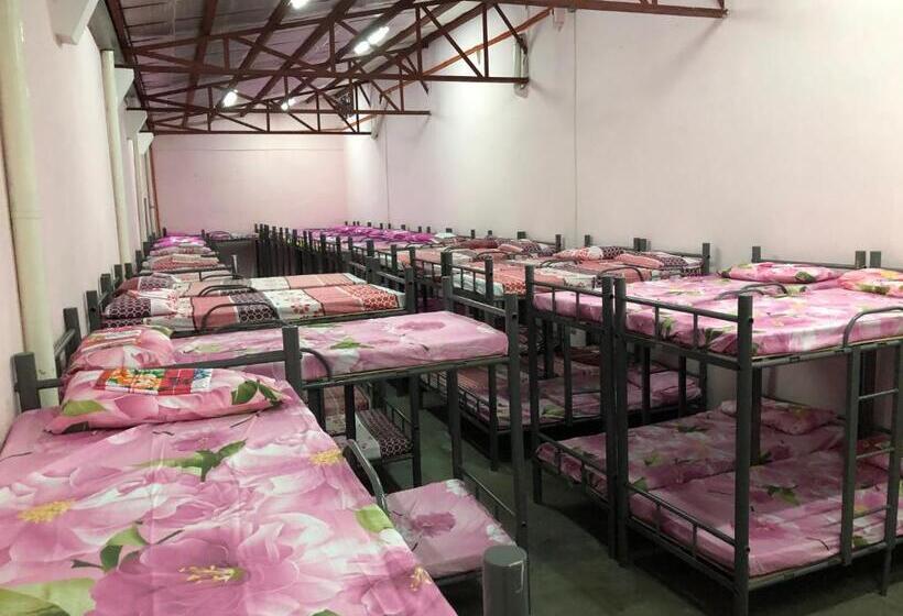 Standard Enkelrum, Mang Ben Dormitory Kaliraya