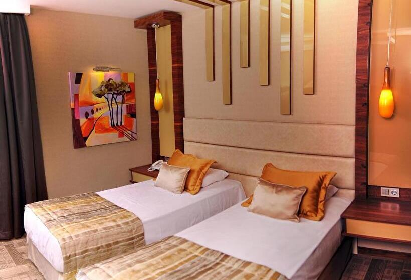 스탠다드 룸, Avin