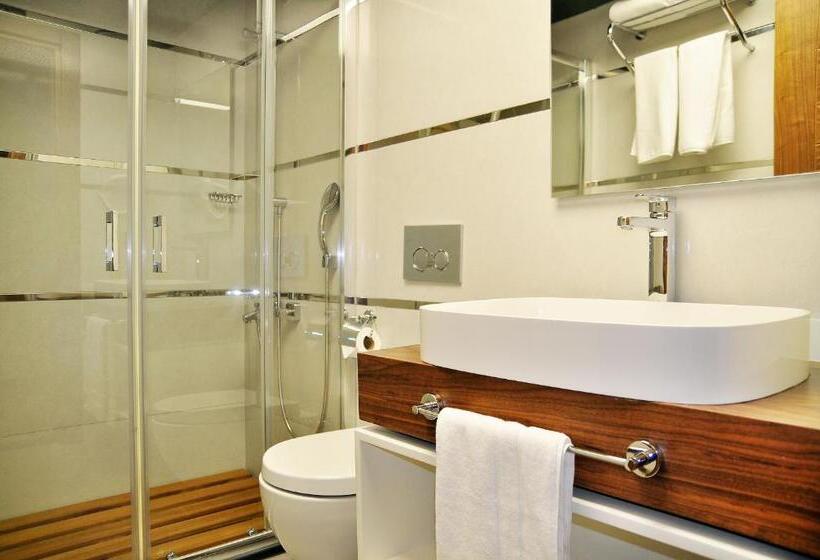 스탠다드 룸, Avin