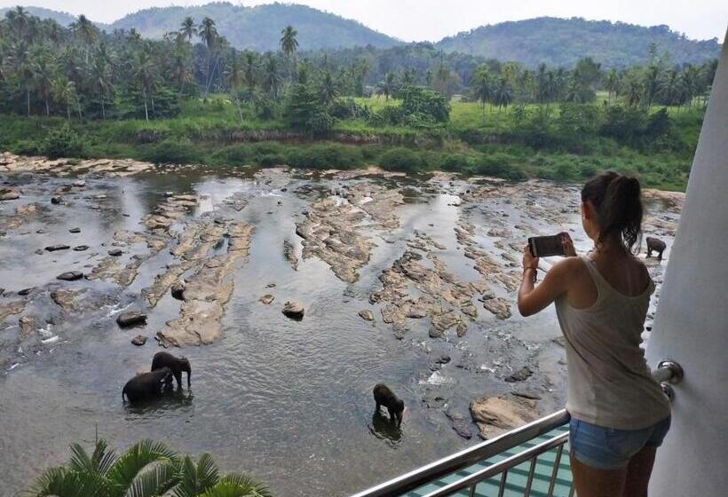 수피리어 룸 강 전망, Elephant Park   New Deal! Half Off Airport Pickups Available