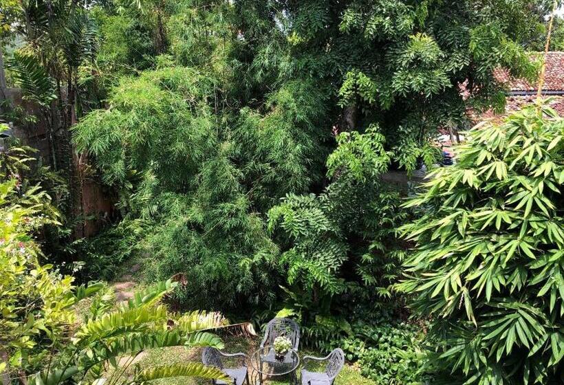 Camera Deluxe, Highbury Colombo