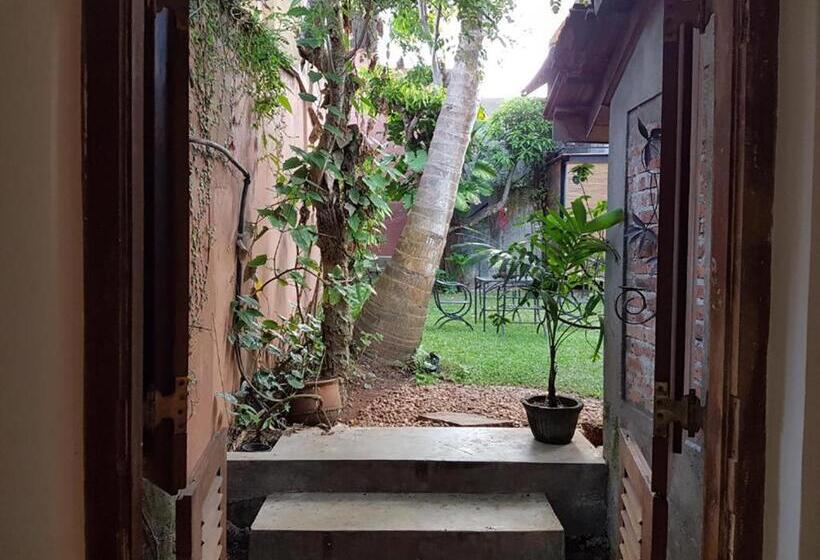 Camera Singola Vista Giardino, Highbury Colombo