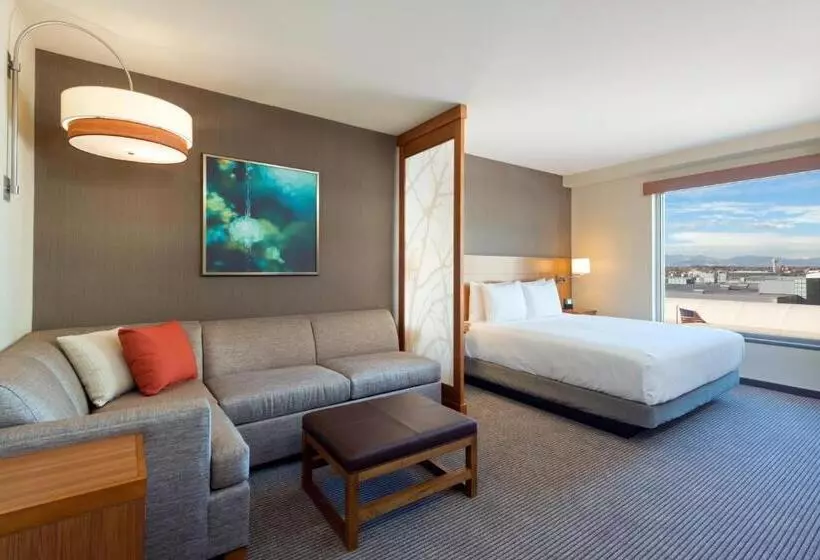 اتاق استاندارد با تخت بزرگ, Hyatt Place Denver Downtown