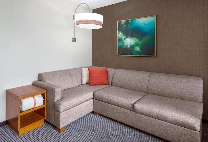 Стандартный Номер Кровать Кинг, Hyatt Place Denver Downtown