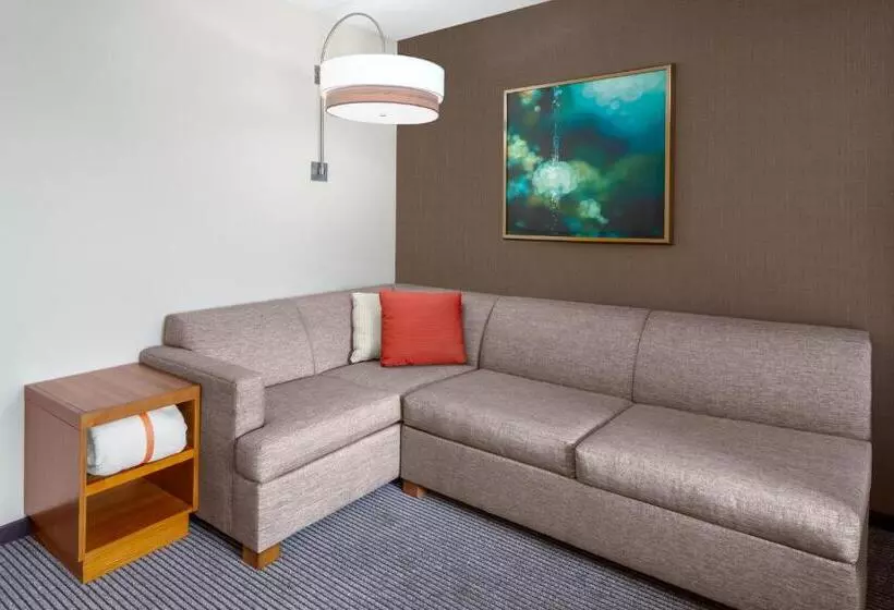 اتاق استاندارد با تخت بزرگ, Hyatt Place Denver Downtown