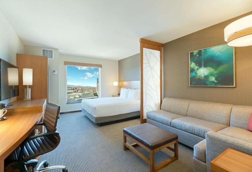 Стандартный Номер Кровать Кинг, Hyatt Place Denver Downtown