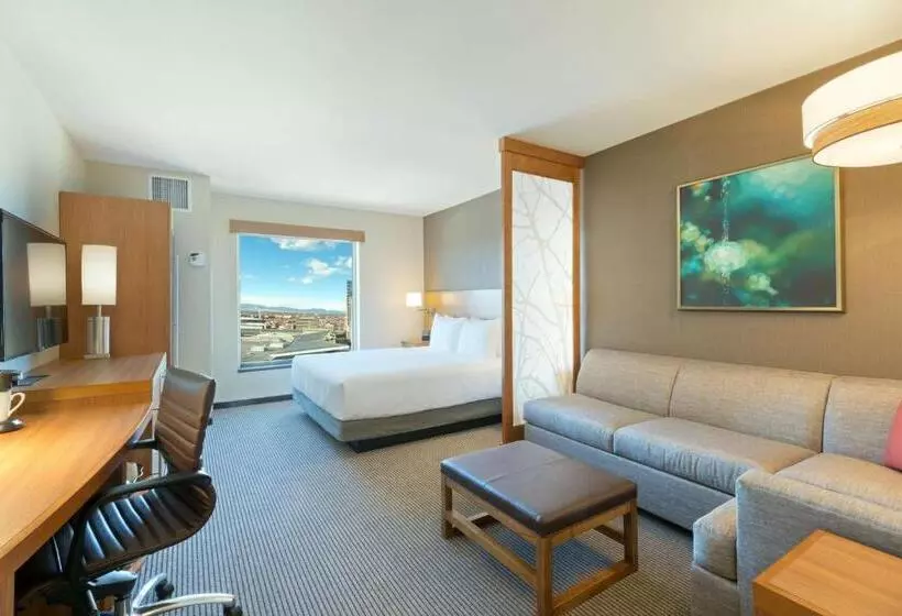 اتاق استاندارد با تخت بزرگ, Hyatt Place Denver Downtown