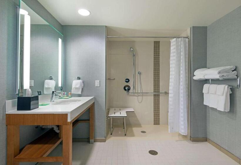 Номер Стандарт Кровать Кинг Адаптированный для Инвалидов, Hyatt Place Denver Downtown