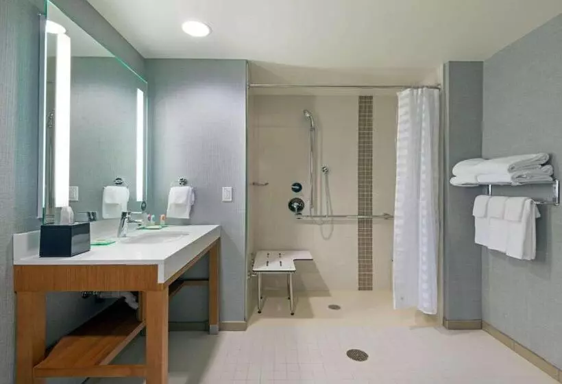 اتاق استاندارد با تخت بزرگ برای معلولان, Hyatt Place Denver Downtown