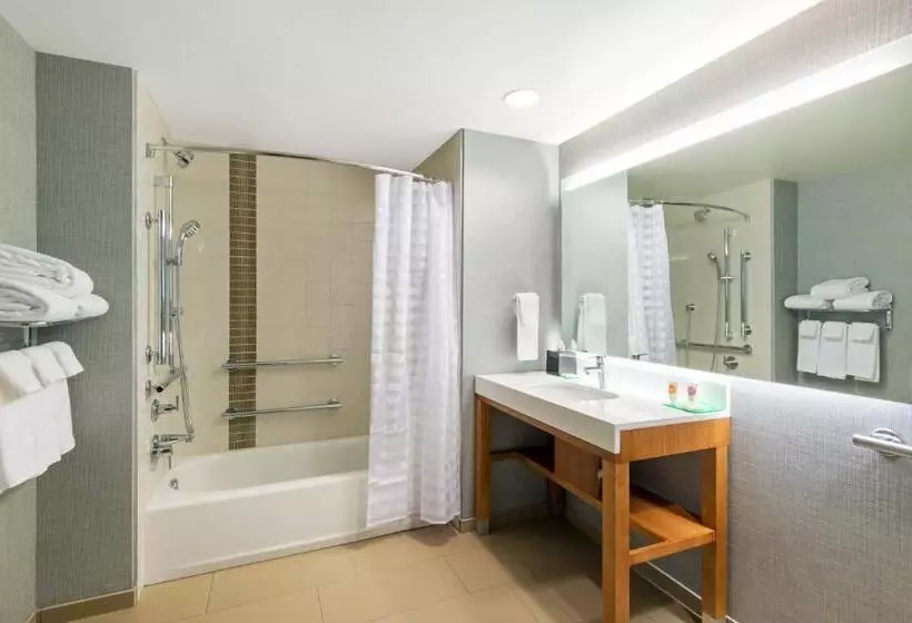 اتاق استاندارد برای معلولان, Hyatt Place Denver Downtown