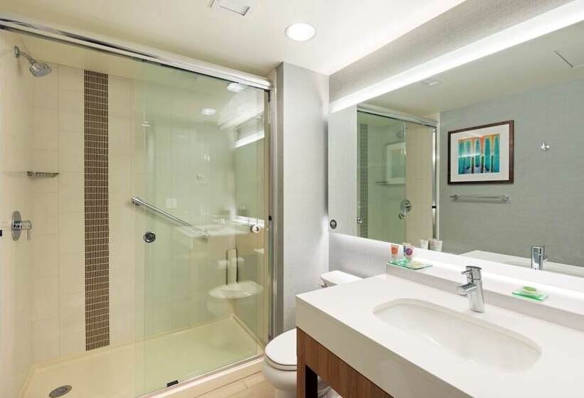 Номер Стандарт Двуспальная Кровать, Hyatt Place Denver Downtown