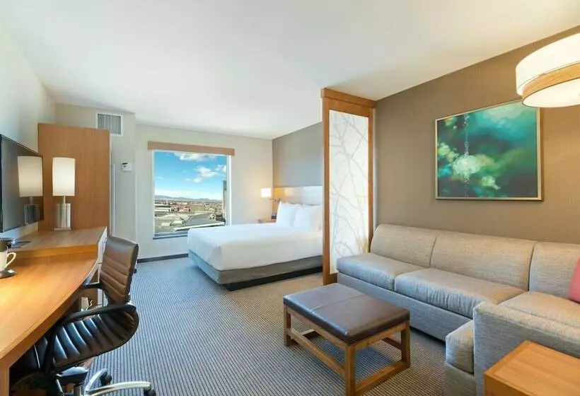 اتاق استاندارد با تخت دوبل, Hyatt Place Denver Downtown