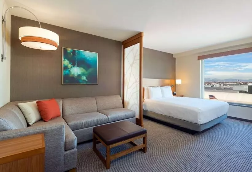 اتاق استاندارد با تخت دوبل, Hyatt Place Denver Downtown