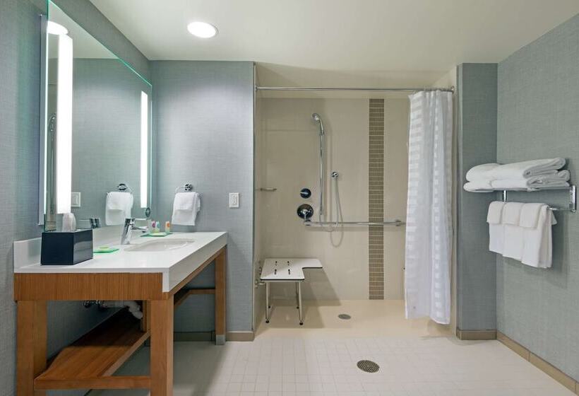 Номер Стандарт Двуспальная Кровать, Hyatt Place Denver Downtown