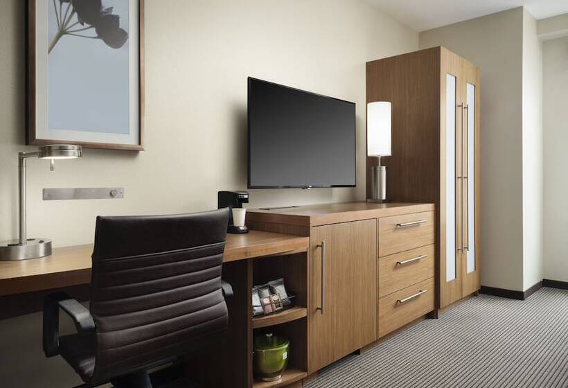 Номер Стандарт Двуспальная Кровать, Hyatt Place Denver Downtown