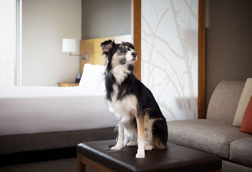 Номер Стандарт Двуспальная Кровать, Hyatt Place Denver Downtown