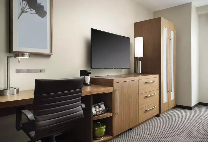 اتاق استاندارد, Hyatt Place Denver Downtown