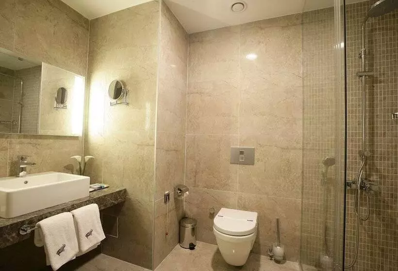 Habitació Estàndard, Rys