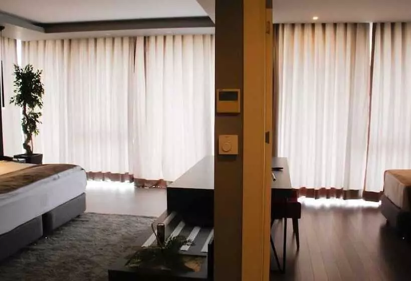 Habitació Estàndard, Rys