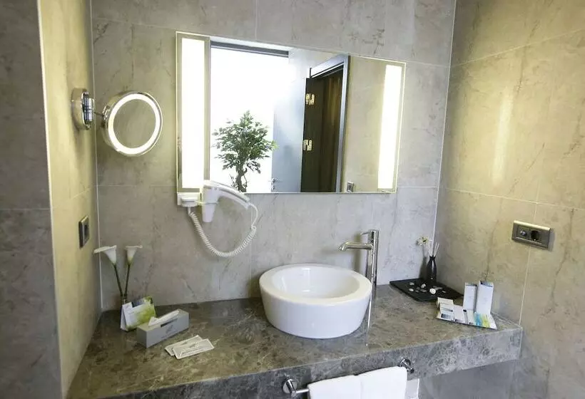 Suite, Rys