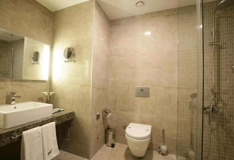 Habitación Estàndard Individual, Rys
