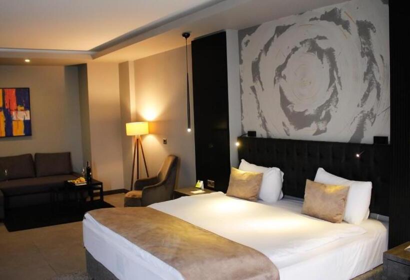 家庭小型套房, Rys