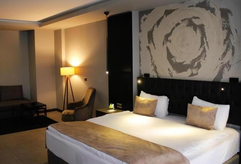 家庭小型套房, Rys